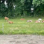 Hojmosegard Vaerelse 1 * Varde